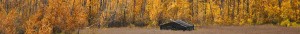 kalispell and glacier car rental